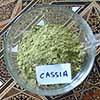 Neutrales Henna Pulver – Cassia obovata / Senna italica –